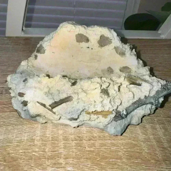 3D Wolf Decorative Plate - Picture 3 of 4